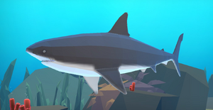 Megalodon Garden