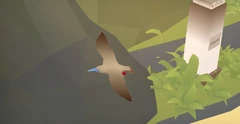 The Red-footed booby (Sula sula) is a booby and is the only type in the game. It flies a different course than the other birds.