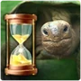 Turtle Long Lifespan