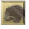 Achievement Elderly Echidnas