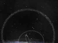 Virgo Stellar Stream