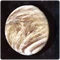 Venus Sulfuric Clouds