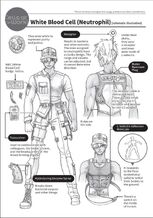 WBCUniform2.jpg