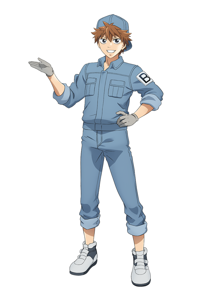 Hataraku Saibou, Wiki