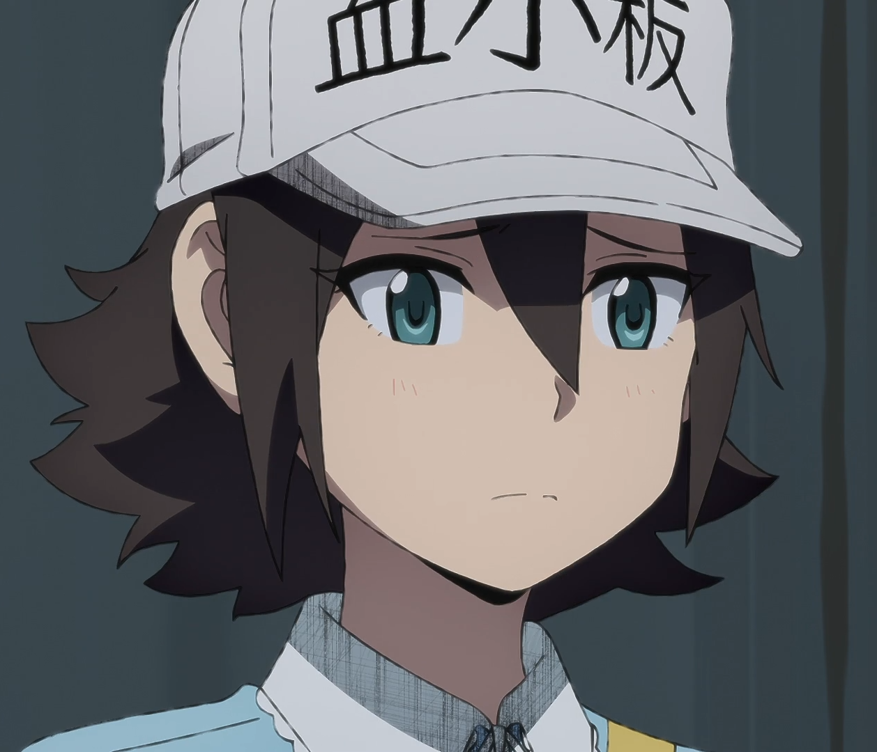 Characters appearing in Cells at Work! Code Black Anime