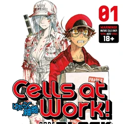 Cells At Work Wiki Fandom The red blood cell and her colleagues are hard at work keeping the body healthy. cells at work wiki fandom