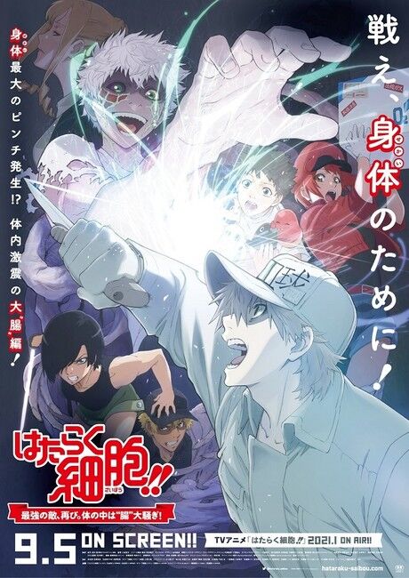 Hataraku Saibou (TV) Online - Assistir anime completo dublado e