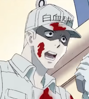 U 01 Cells At Work Wiki Fandom U 01 Cells At Work Wiki Fandom