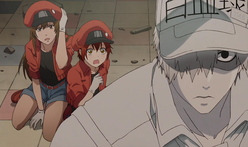 Joeschmo's Gears and Grounds: Hataraku Saibou Black - Episode 2 - White  Blood Cell 8787 Sizes Up Red Blood Cell