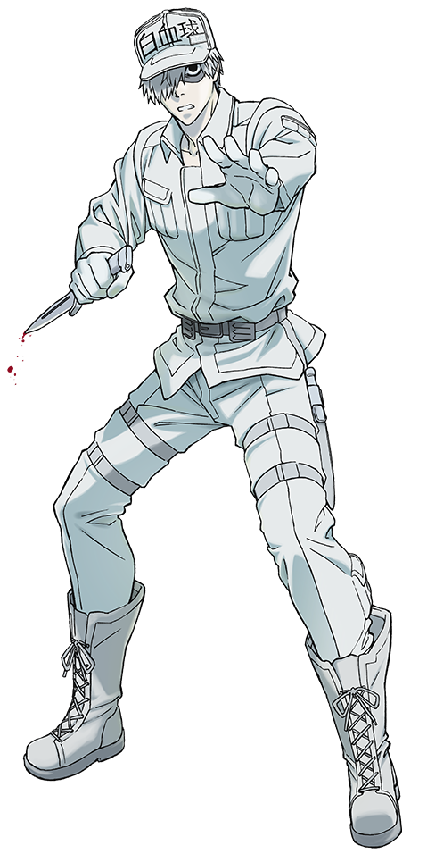 Cells at Work! White blood cell Anime ClariS, Anime, television, fictional  Character png | PNGEgg