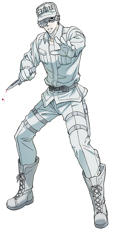 best girl white blood cell : r/CellsAtWork