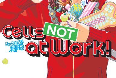 Hataraku saibou WHITE 2 Japanese comic manga anime Cells at Work! Tetsuji  Kanie