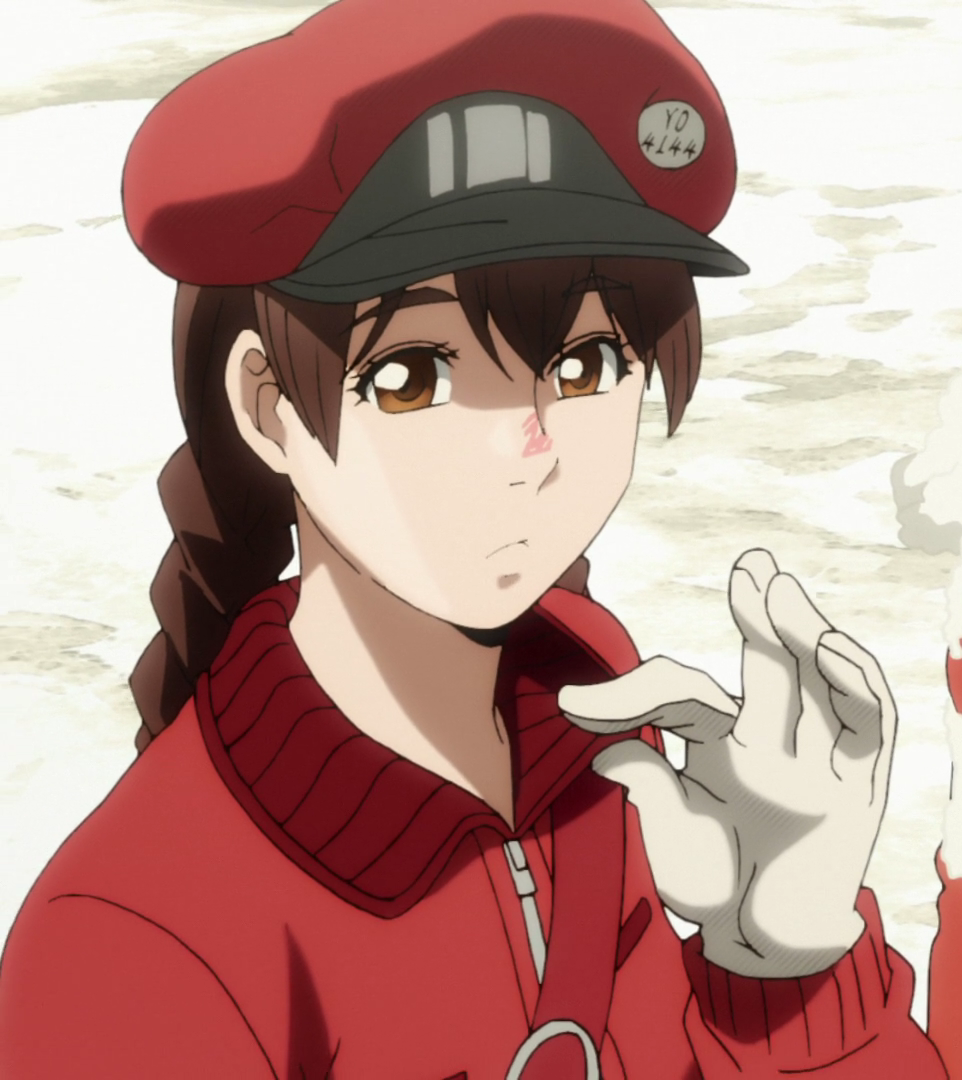 YO4144 | Cells at Work! Wiki | Fandom