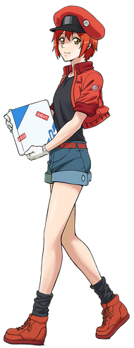 ⎆┊AE3803 Red Blood Cell ⎙  Blood cells, Work icon, Anime icons