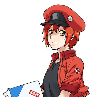 ⎆┊AE3803 Red Blood Cell ⎙  Blood cells, Work icon, Anime icons
