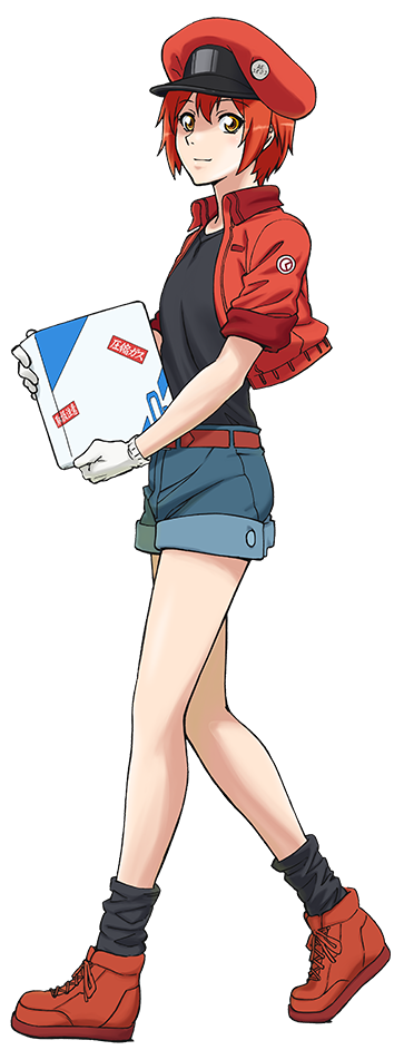 Category:Female characters, Cells at Work! Wiki