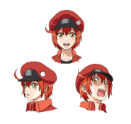 Assets for the anime.