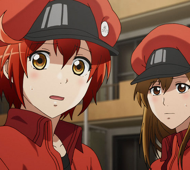 Episode 8, Cells at Work! Wiki