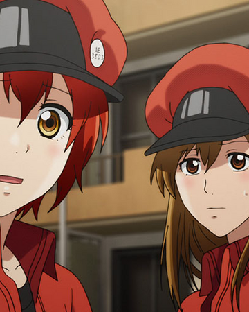 Episode 7 Cells At Work Wiki Fandom Episode 7 Cells At Work Wiki Fandom