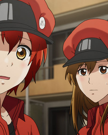 Episode 7 Cells At Work Wiki Fandom