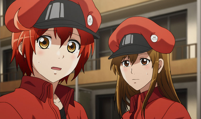 Cells at Work! Episode 1: Anime is in the Blood