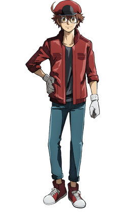 2153 Cells At Work Wiki Fandom 2153 Cells At Work Wiki Fandom
