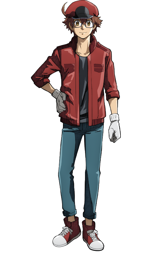 aa2153-cells-at-work-wiki-fandom