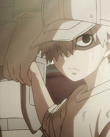 Episode 6 Cells At Work Wiki Fandom Episode 6 Cells At Work Wiki Fandom
