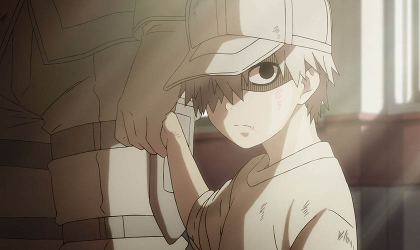 Cancer Cell, Hataraku Saibou