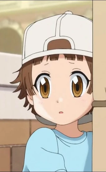 Backwards Cap Platelet Cells At Work Wiki Fandom Image of anime hair tv tropes. backwards cap platelet cells at work