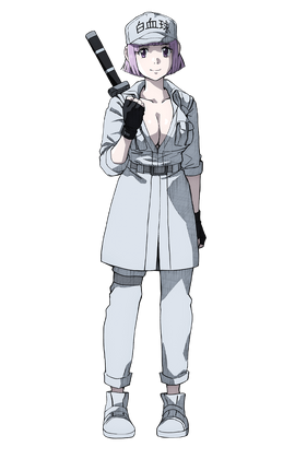 Cells at work shop characters