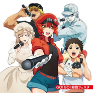 GO!GO!Cells Festa Cover