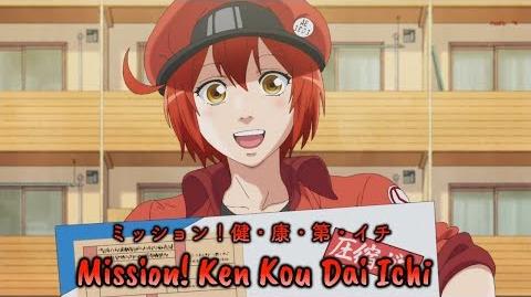 『Lyrics_AMV』Hataraku_Saibou_OP_Full_-_Mission!_Ken・Kou・Dai・Ichi_／_Red,_White,_Killer_T,_Macrophage