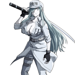 Category Female Characters Cells At Work Wiki Fandom