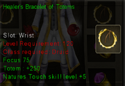 Healer's Bracelet of Totems