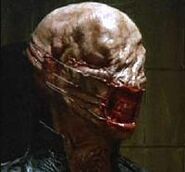 Chatterer (1).jpg (6 KB) Chatterer