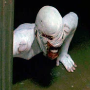 Hr5pic2.jpg (38 KB) Torso