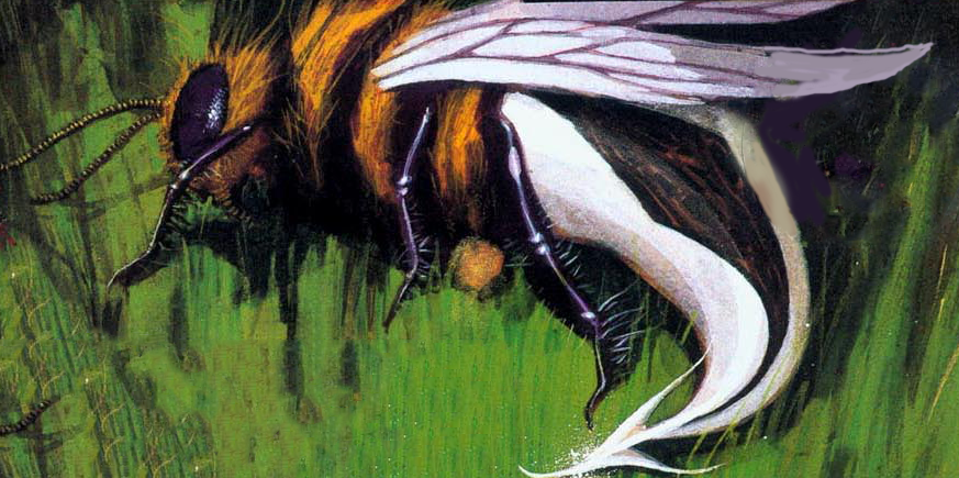 Cenobite Bees | Hellraiser Wiki | Fandom