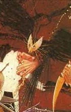 Chalkis, lover of Alastor.