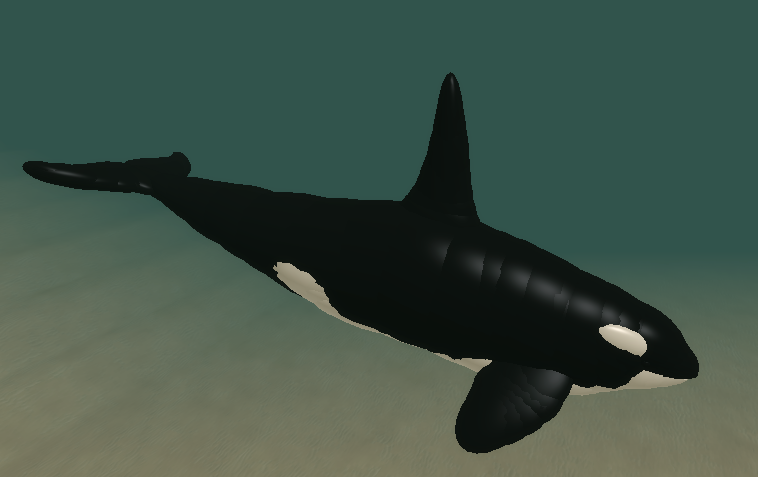 Hungry Orca, Roblox Wiki