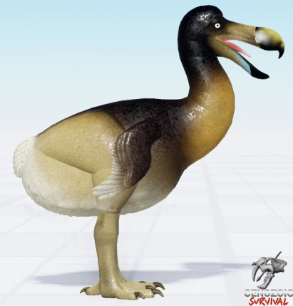 Dodo | Cenozoic Survival Wiki | Fandom