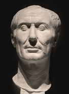 Example 3: Image shows a bust of roman statesman and general Caesar; hence it should be called "Caesar Bust"/"Bust of Caesar"; note if resources overlap in name, feel free to add a number behind it.