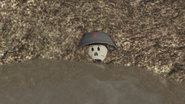 Deceased Soldier buried under the soil