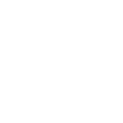 Sharpshooter Perk