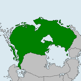 Border 