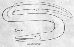 Bluerock Serpent