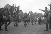 Bundesarchiv Bild 102-13378, Braunschweig, Hitler bei Marsch der SA