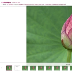 Help:Adding images