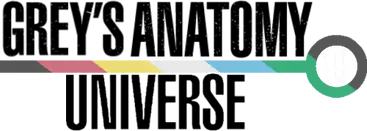 Grey's Anatomy Universe wiki site logo represents the Disability Pride flag