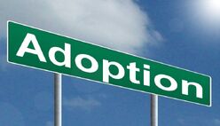 Adoption